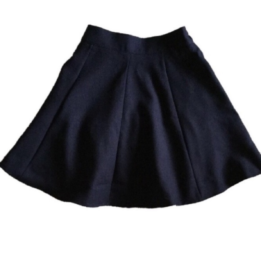 NWOT flare skirt